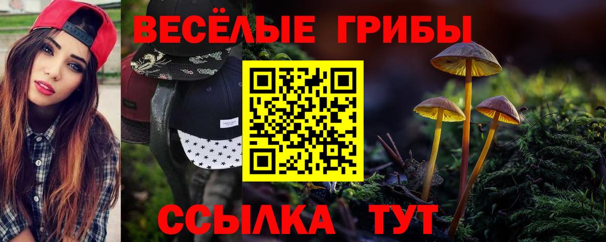 Галлюциногенные грибы Cubensis  Вход с VPN  Кумертау 